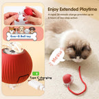 Cat Rolling Ball