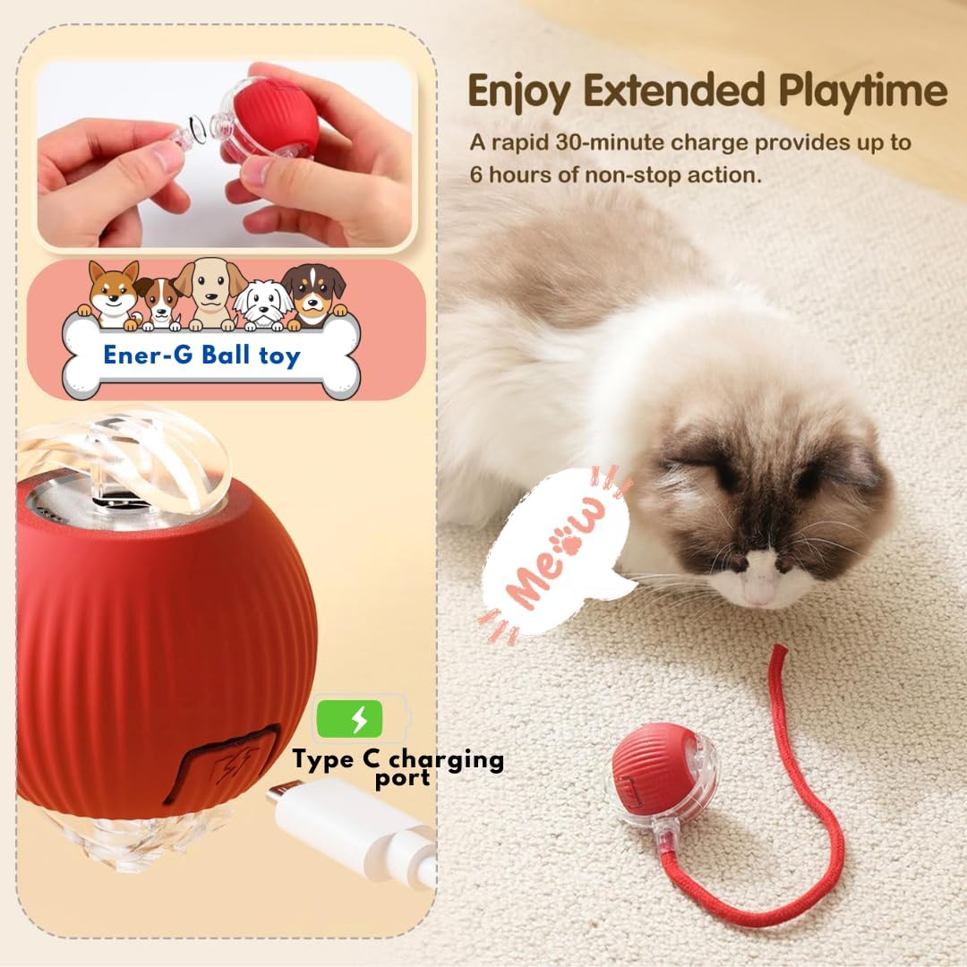 Cat Rolling Ball