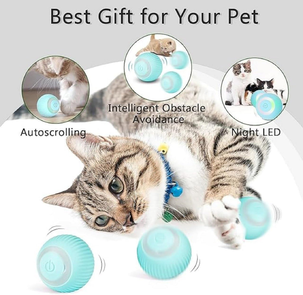Cat Teaser Ball
