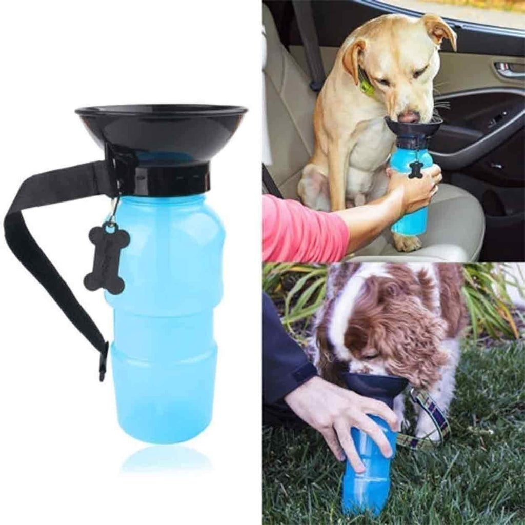 Aqua Dog