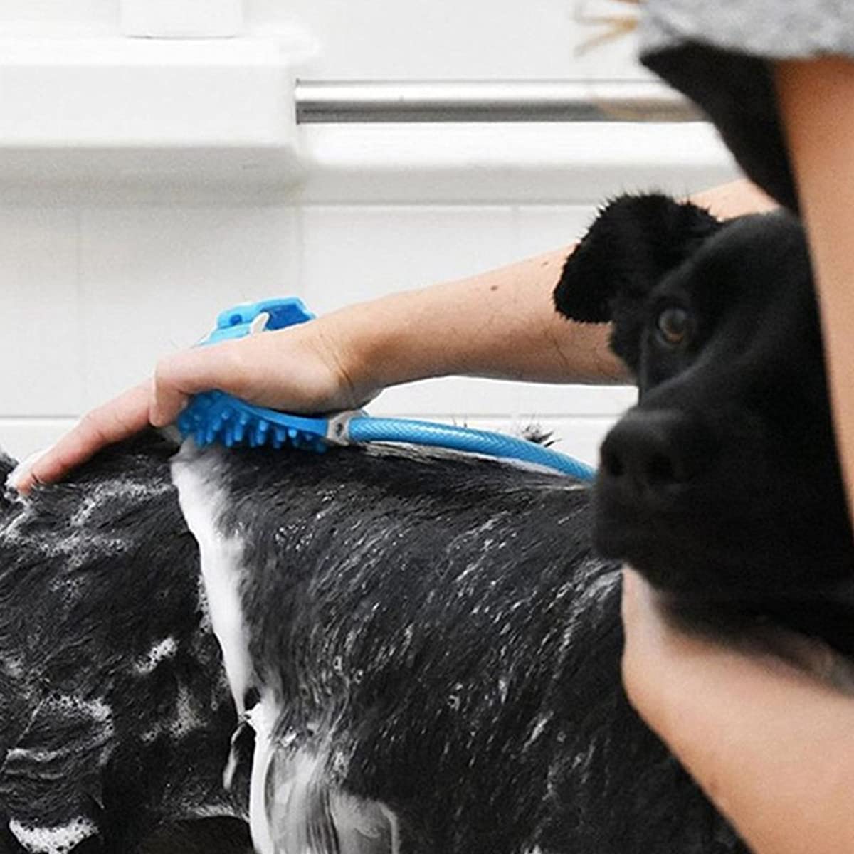 Pet Bathing Tool