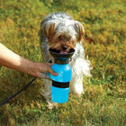 Aqua Dog
