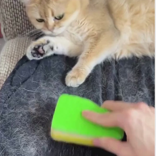 Pet Hair Removal Glove for Cats & Dogs